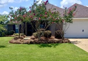 109 Millhouse Dr - Photo 1 of 1