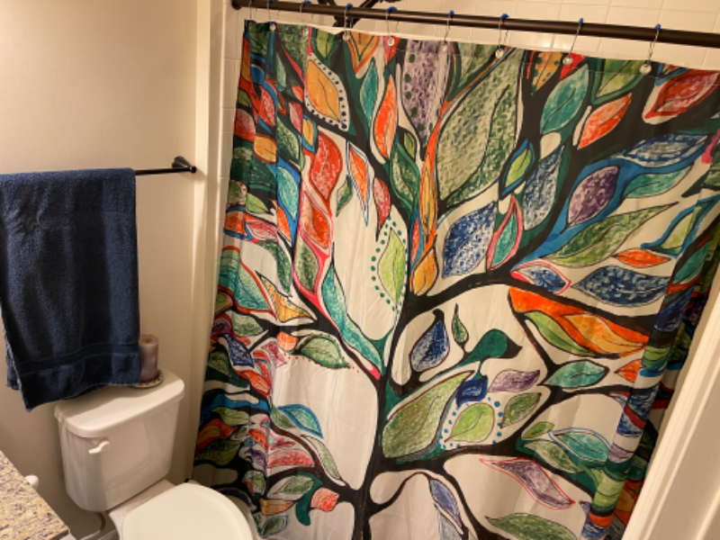 25989 Braided Mane Ter - Photo 2 of 6