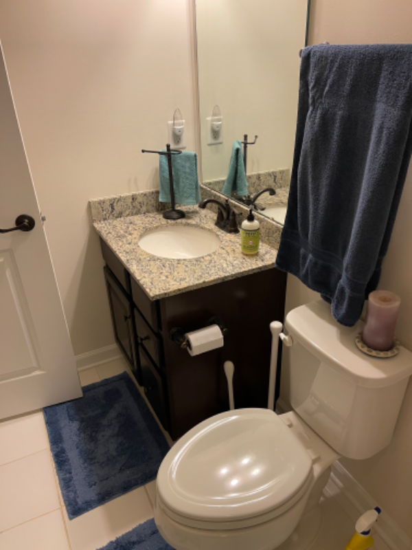 25989 Braided Mane Ter - Photo 3 of 6