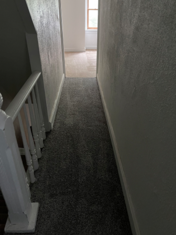 1624 Park St #2 - Photo 5 of 10