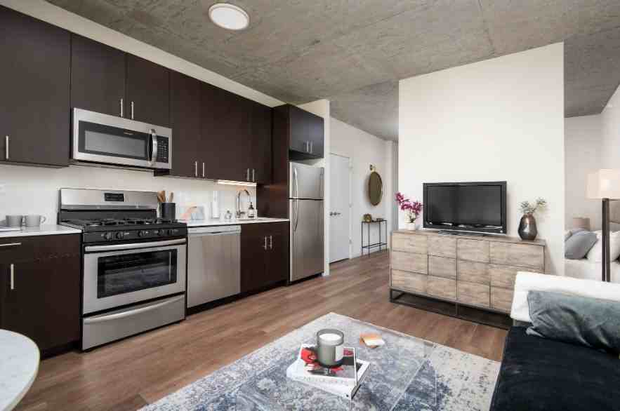 Apartments for Rent in South Loop, Chicago, IL 665 Rentals Zumper