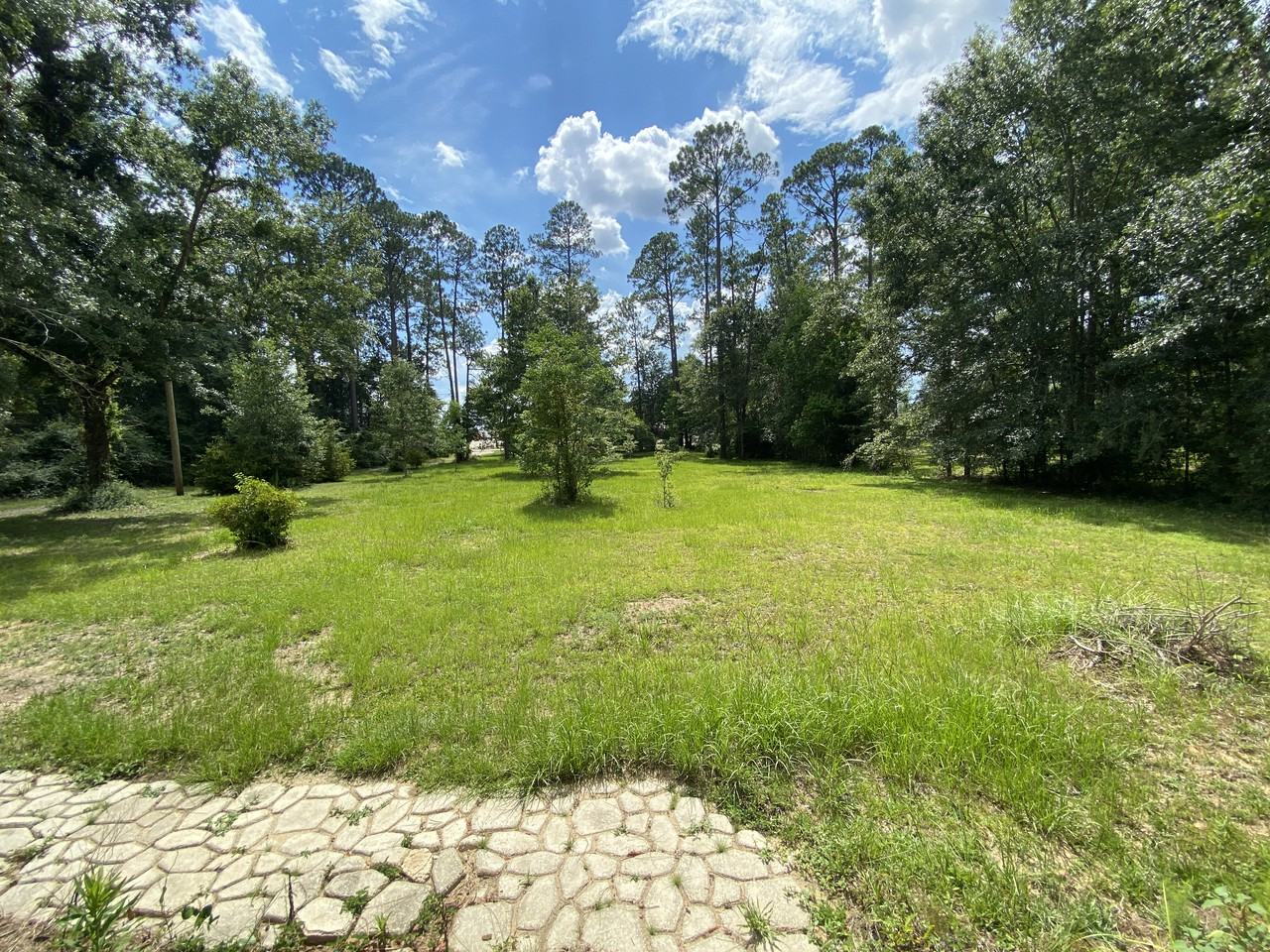 28000 County Road 64 Ext - Photo 2 of 15