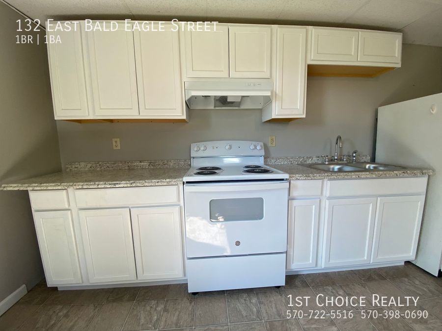 132 E Bald Eagle St - Photo 3 of 6
