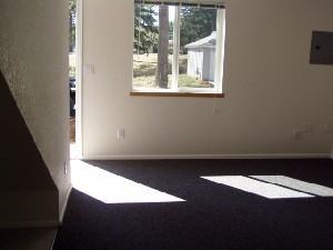 467 Willow Creek Ln - Photo 3 of 8