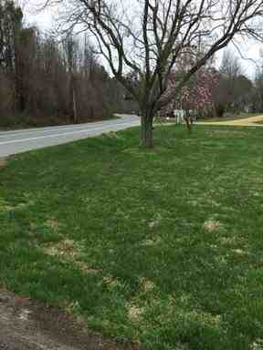 12745 Point Lookout Rd - Photo 3 of 5