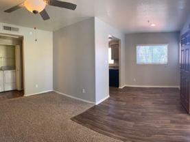 1300 W Warner Rd - Photo 1 of 1