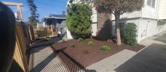 1428 78th Ave #3 - Photo 1 of 1