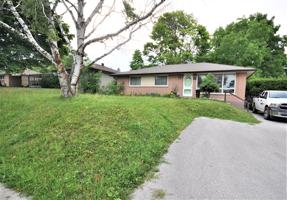 featured image of 82 Rose Street