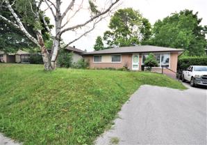 82 Rose - Photo 1 of 1