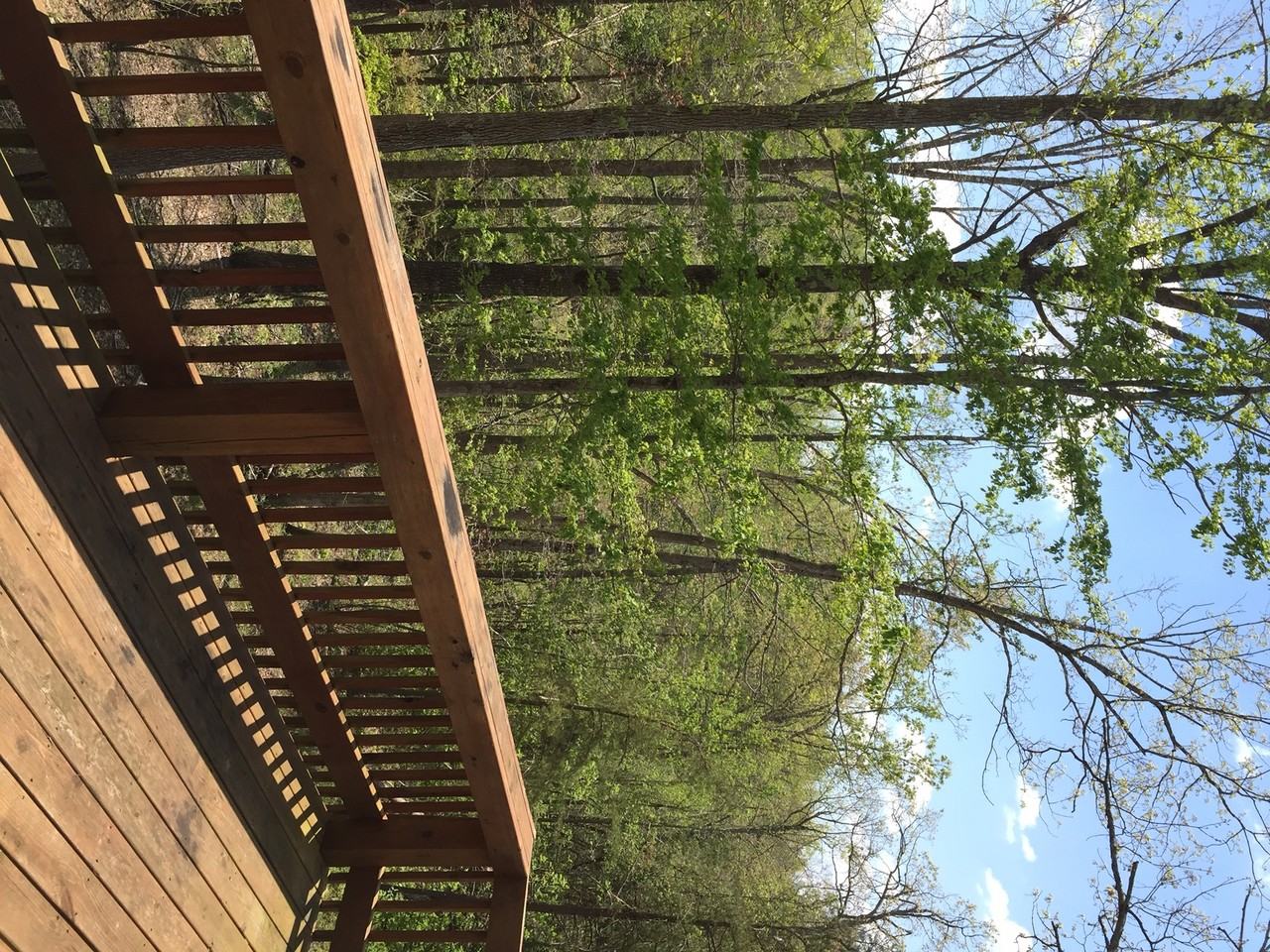 230 W Meadow Creek Rd - Photo 2 of 6