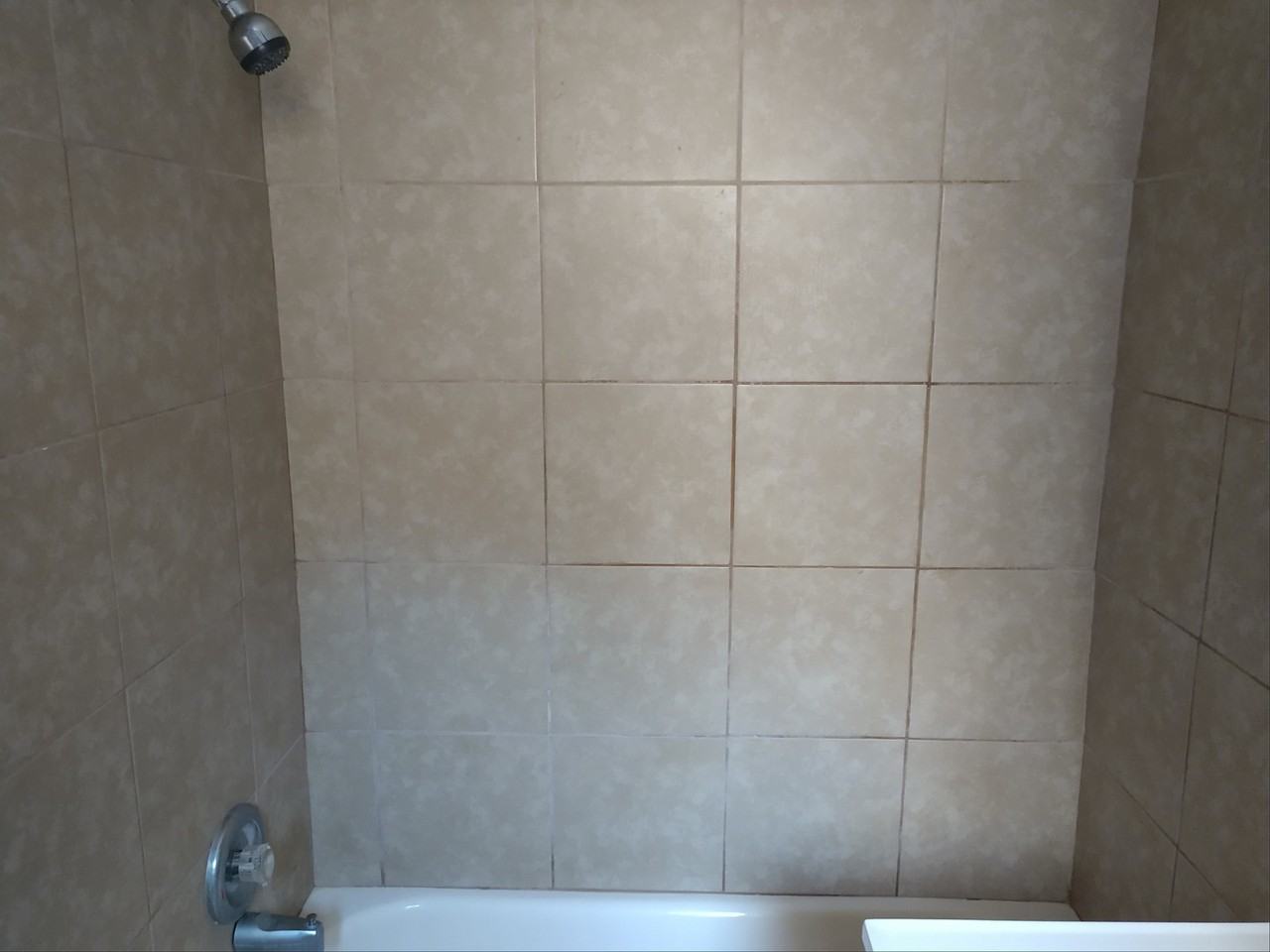 1938 West Birchwood Avenue #1 - Photo 7 of 15