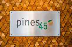 Pines45 Apartments - Photo 1 of 1