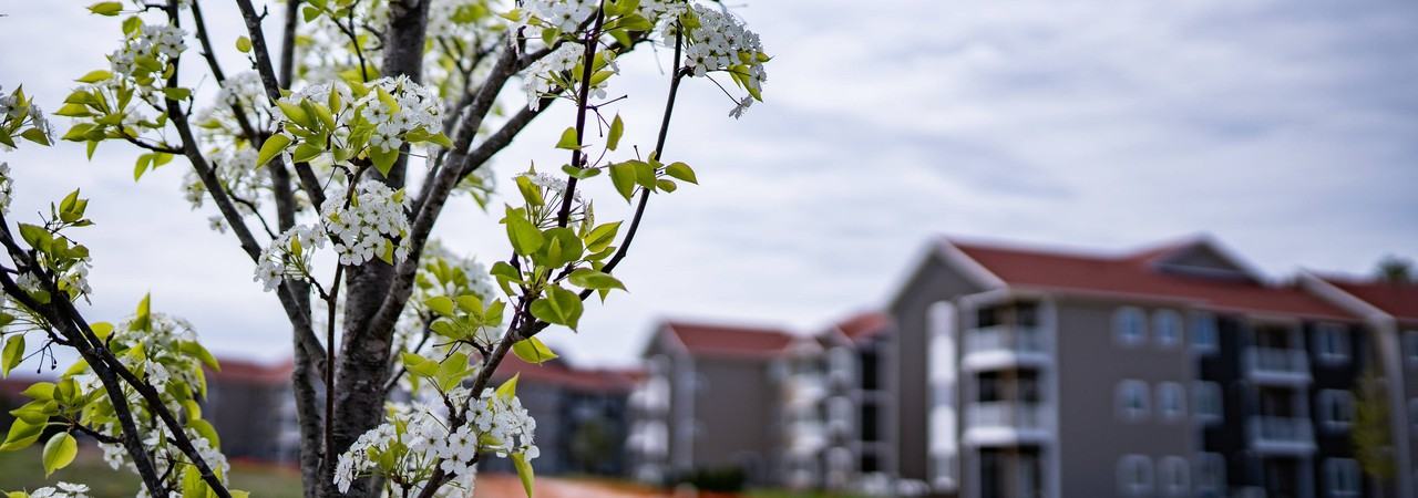 Pines45 Apartments - Photo 2 of 25