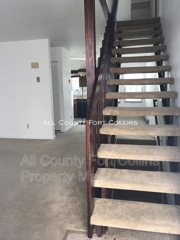 1813 Belmar B5 - Photo 3 of 13