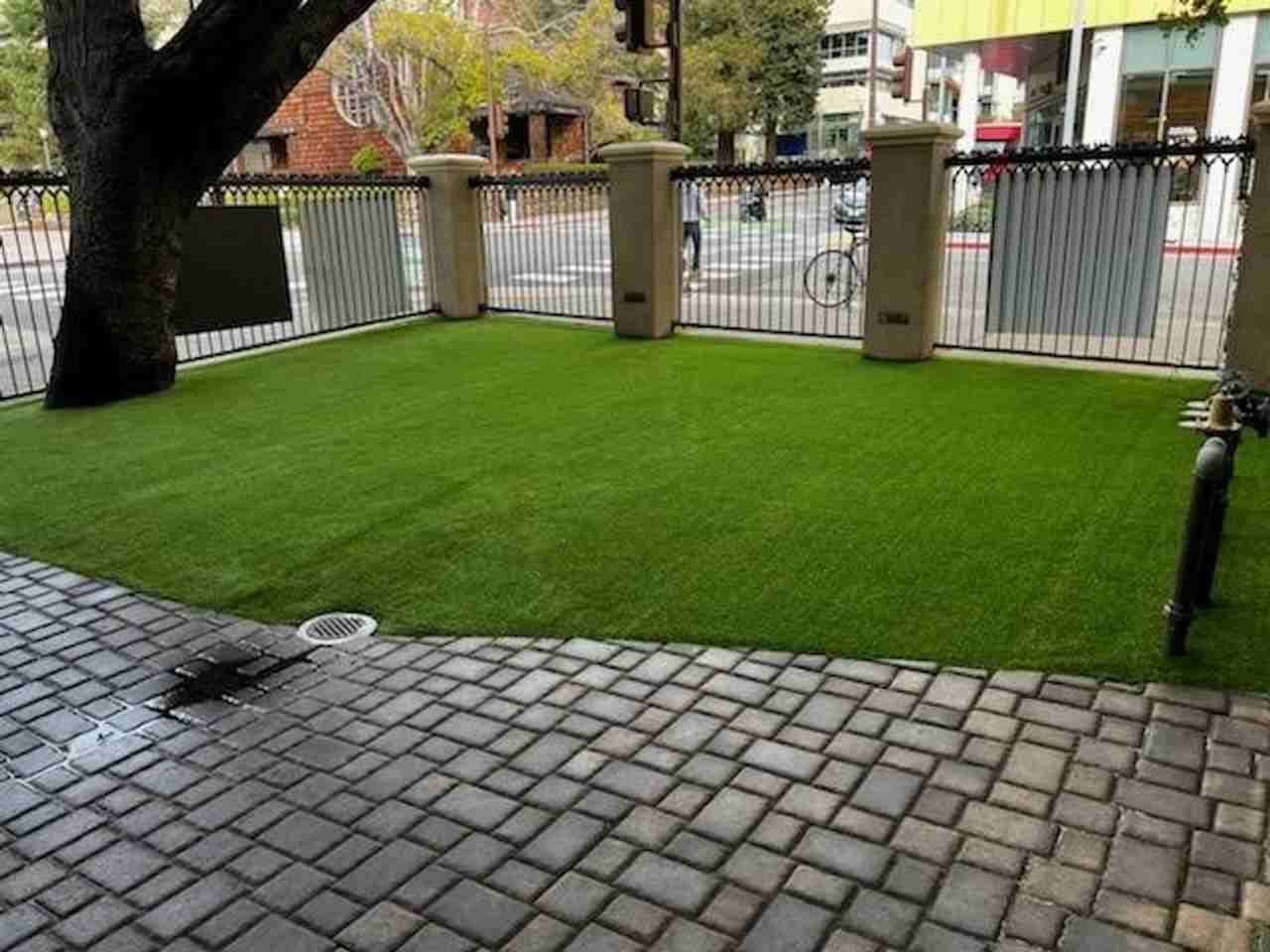 Wesley House at Cal Berkeley - Photo 3 of 6