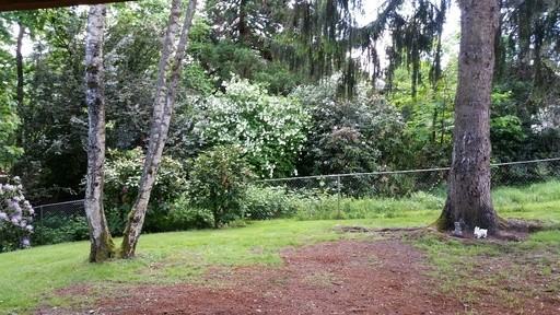 608 Willamette St - Photo 3 of 20