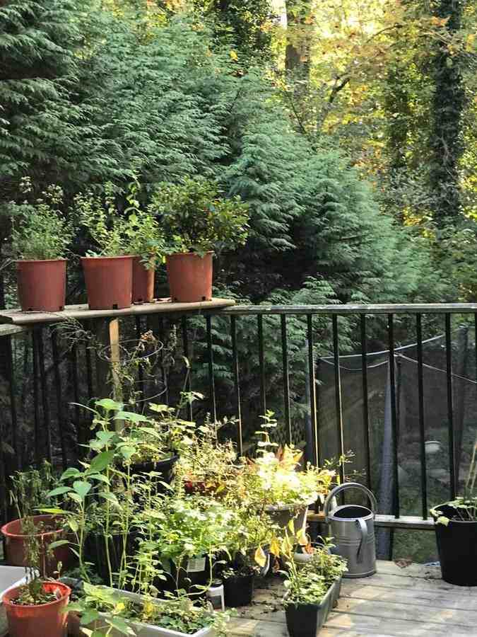 1571 Kilmer Road - Photo 3 of 3