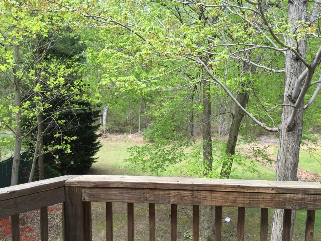 20985 Black Duck Ct - Photo 3 of 26