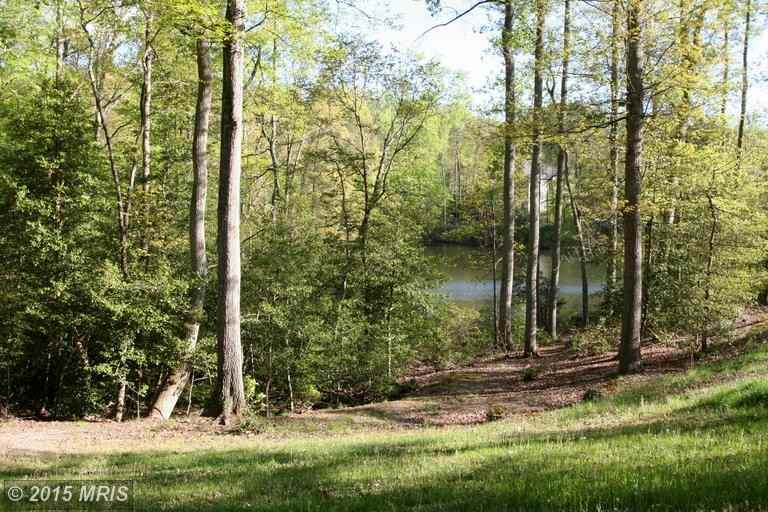 8277 Truman Dr - Photo 3 of 3