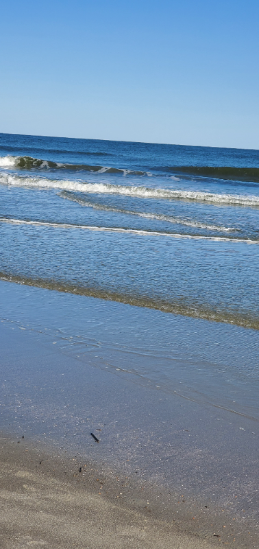 663 William Hilton Parkway #2121 - Photo 6 of 15