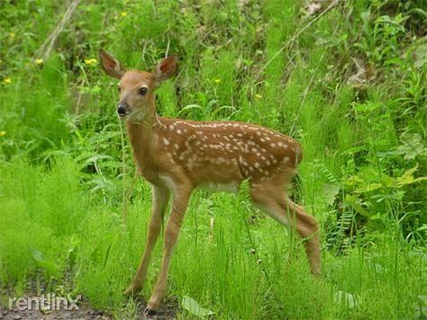 Gardner Rd - Photo 2 of 7