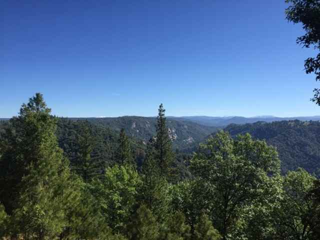 11930 Gold View Way - Photo 3 of 16