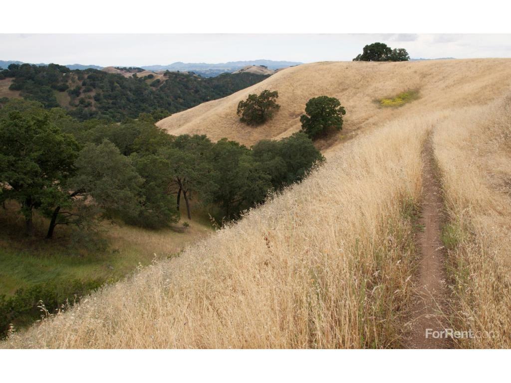 Danville Park - Photo 2 of 4