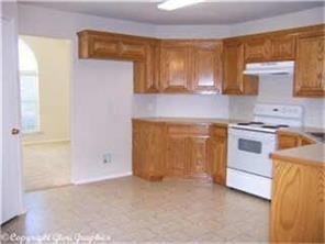 4423 Emerald Leaf Dr - Photo 3 of 6