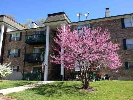 1004 Parkvale Ct - Photo 3 of 12