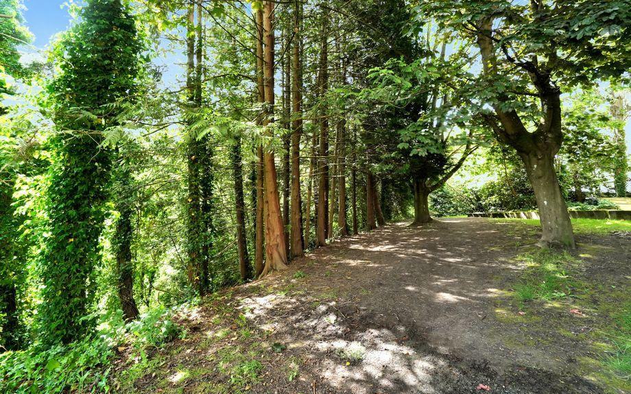 View Apartments 258 258 Rd E, Victoria, BC V9A 6W5 Zumper