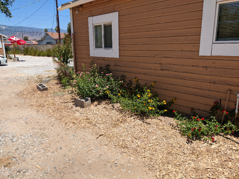 947 E 3rd St - Photo 6 of 22