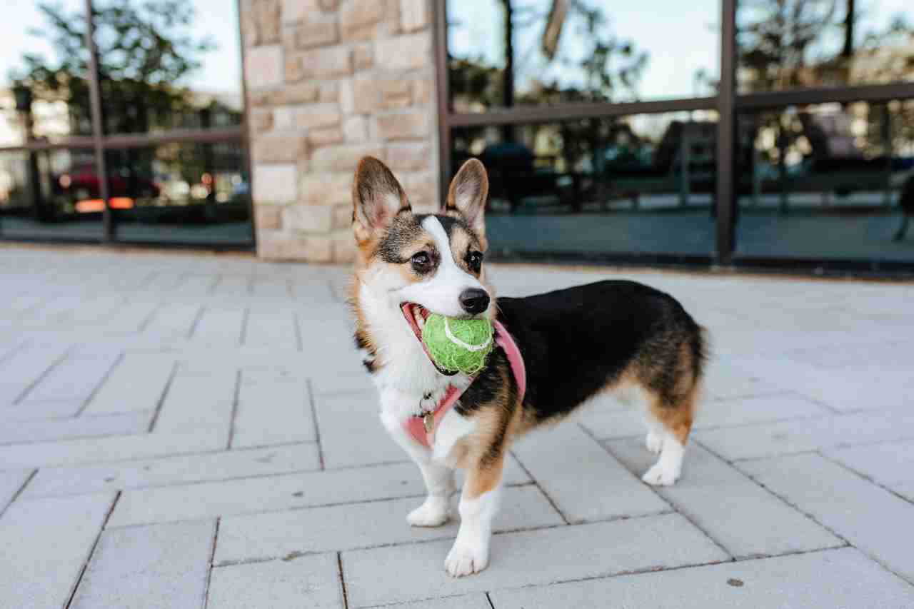 Westloop - Photo 7 of 50