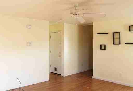 1131 Serena Springs Ct - Photo 2 of 14