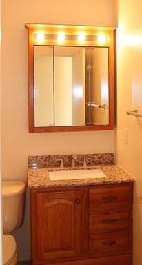 1131 Serena Springs Ct - Photo 3 of 14