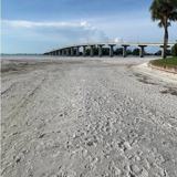 800 S Gulfview Blvd #302 - Photo 1 of 1