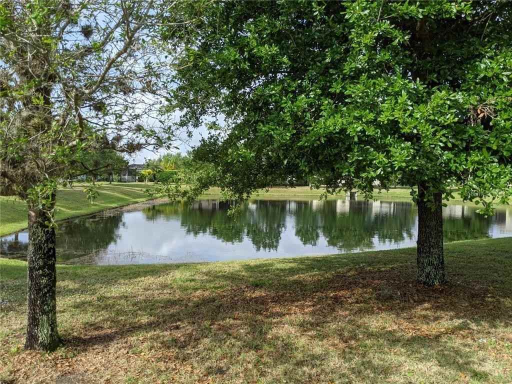 4911 Newport News Cir - Photo 7 of 27