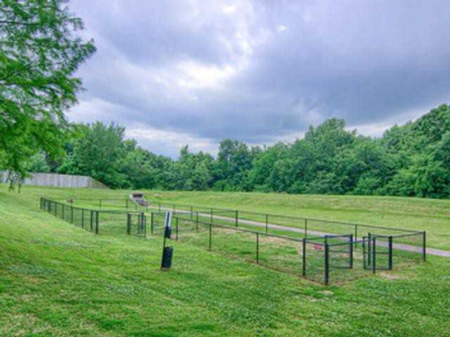 5202 E 81st St - Photo 5 of 37