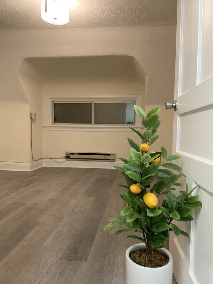 157 Beverley - Photo 3 of 17