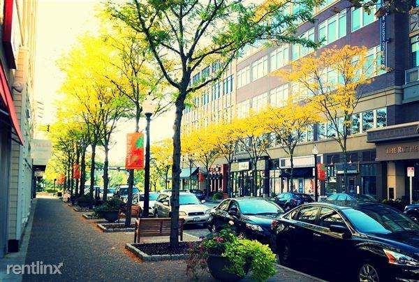 The Lofts at Blue Back Square Apartments Raymond Rd, West Hartford, CT 06107 Zumper