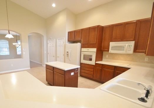 10513 Sky Flower Ct - Photo 3 of 11