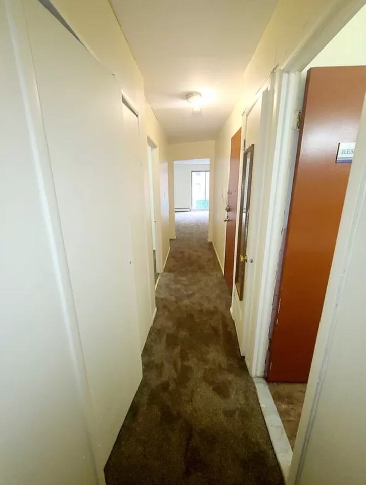 65-53 Booth Street #3 - Photo 2 of 12