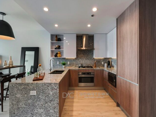 1111 N Wells St #717