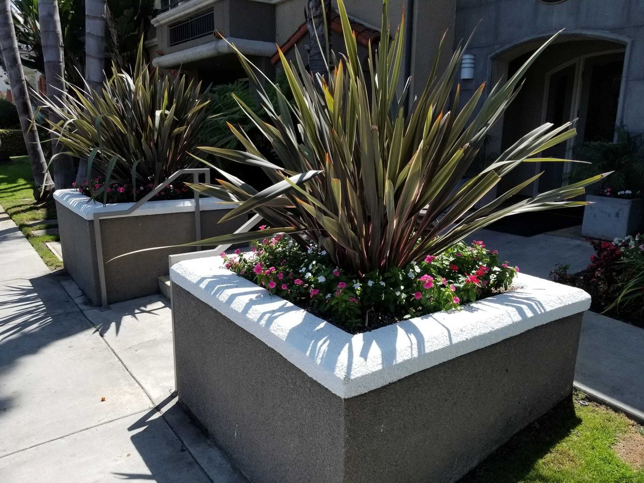 Sawtelle Blvd - Photo 4 of 32