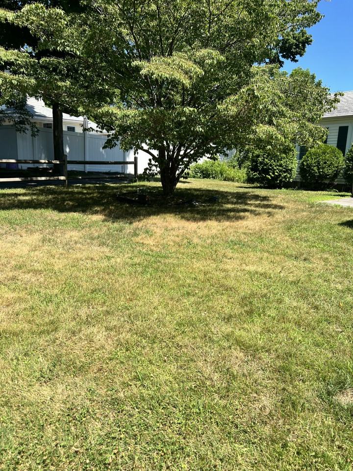 Poole St - Photo 7 of 13