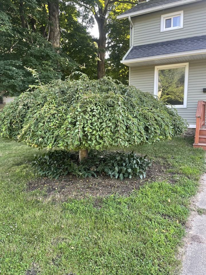 503 East St #1 - Photo 2 of 18