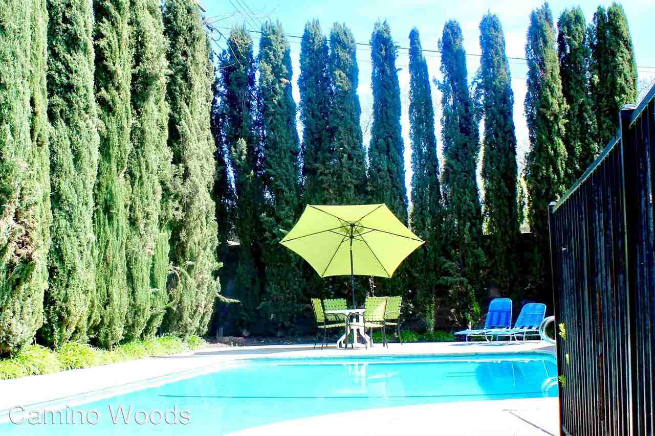 Camino Woods charming apartments 1/2 off 1st month rent - Photo 2 of 16