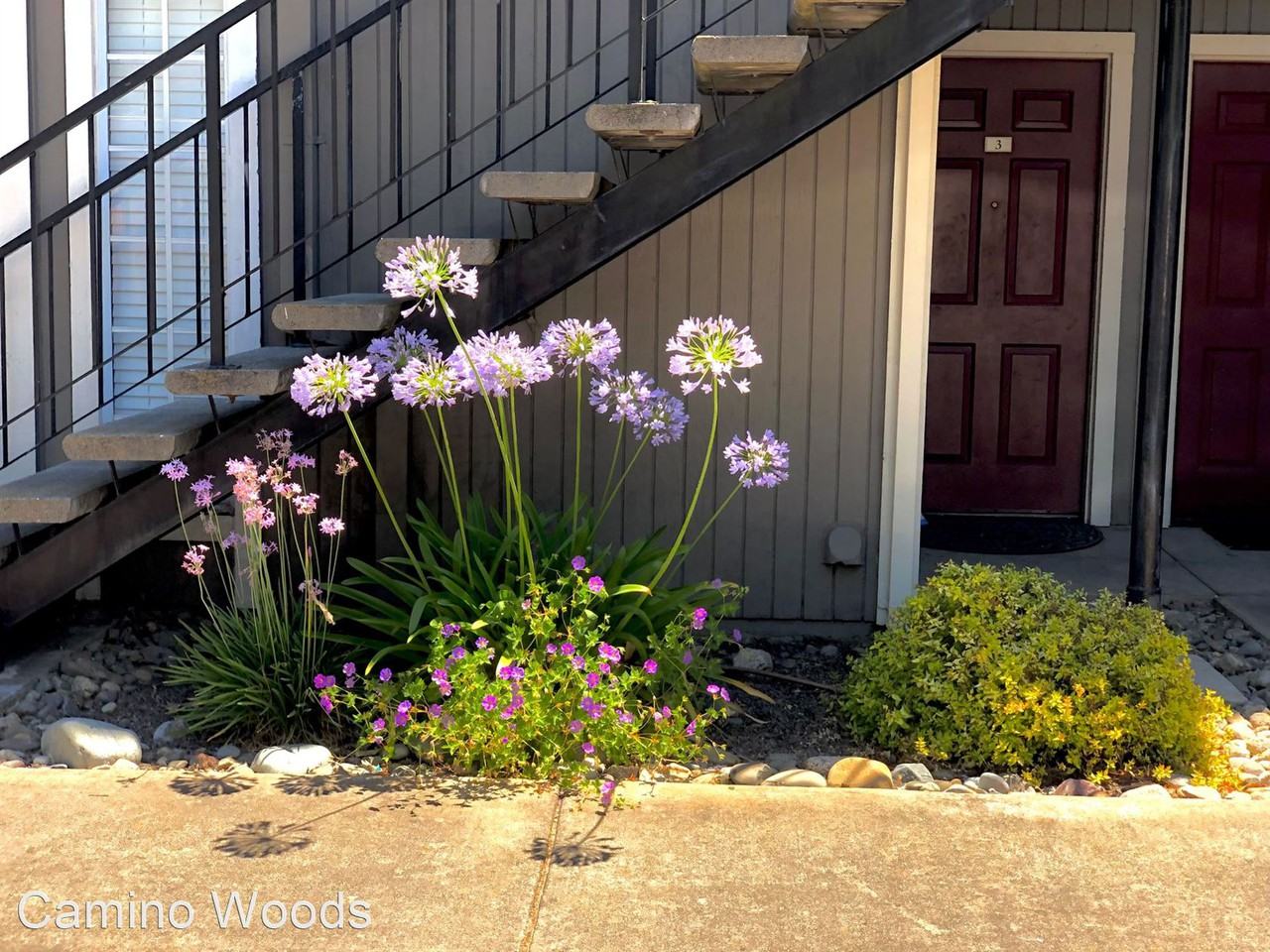 Camino Woods charming apartments 1/2 off 1st month rent - Photo 3 of 16