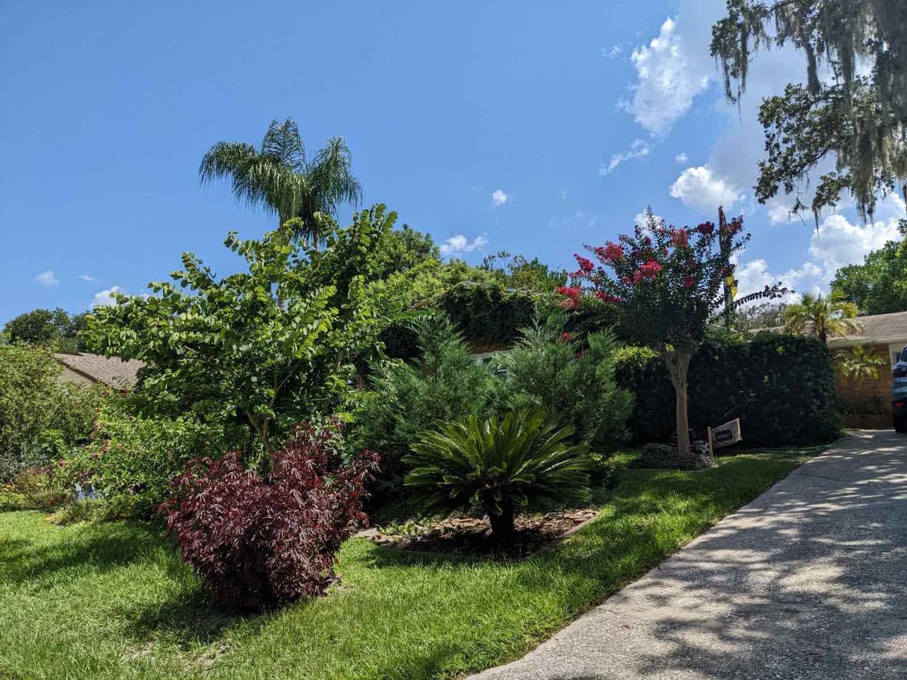 32 Bougainvillea Dr - Photo 2 of 17