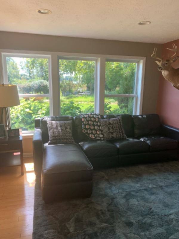 15366 Bayou Meadows St - Photo 4 of 9