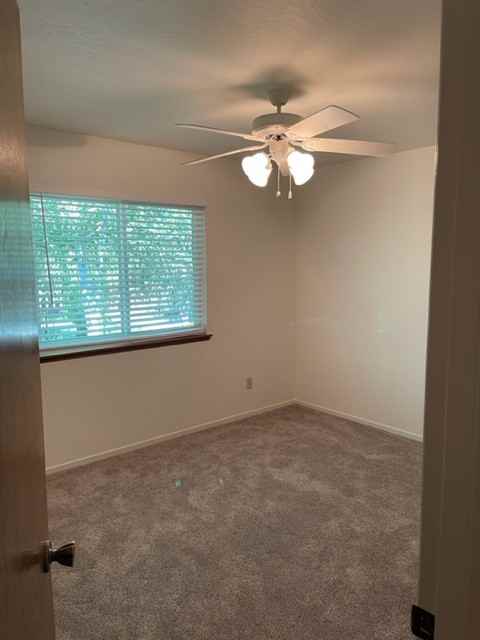 8010 Santa Ynez Avenue #1 - Photo 3 of 12